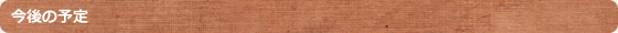 今後の予定